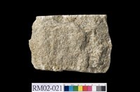 藏品(變質砂岩)的圖片